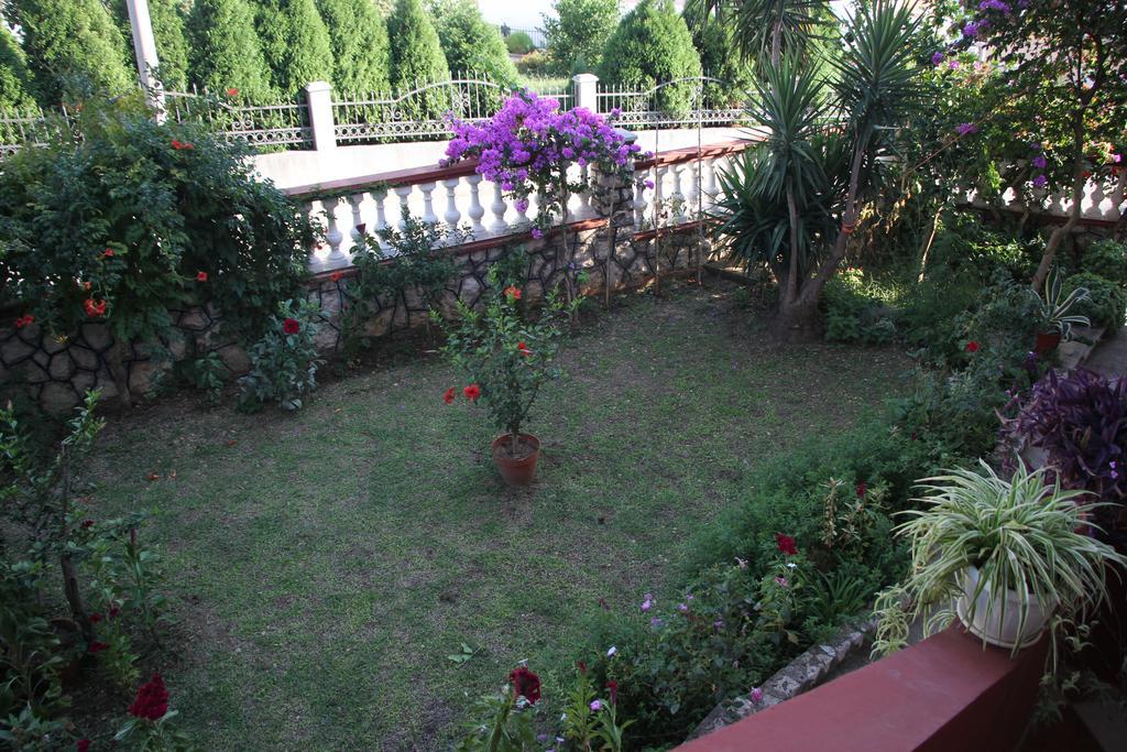 Alvanita Apartments 울친 외부 사진