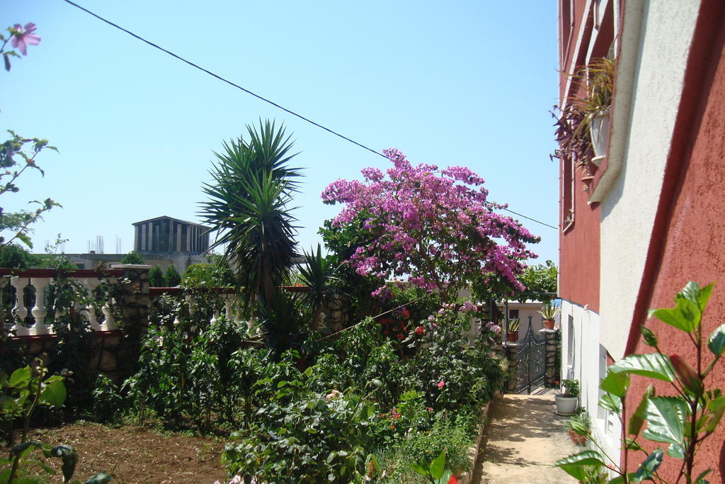 Alvanita Apartments 울친 외부 사진